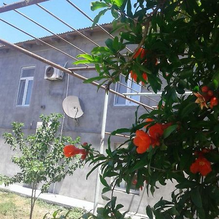 Guest House Near Baku Airport Exterior foto