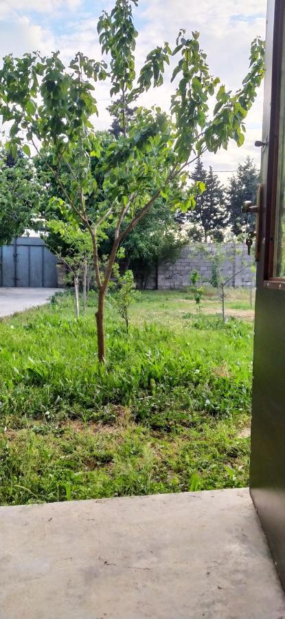 Guest House Near Baku Airport Exterior foto
